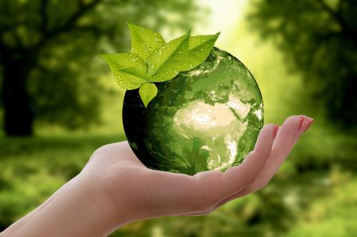 Environment and Wildlife Committee 