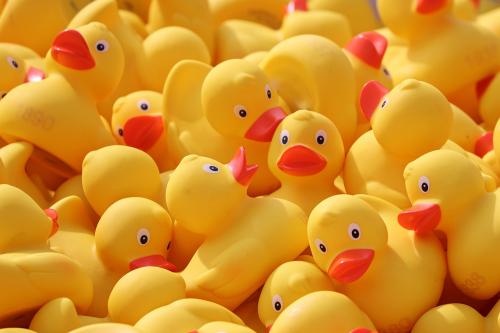 Duck Race Winners 2025